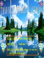 [Tiết 22] Đặc điểm chung và vai trò của ngành thân mềm