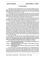 Vận dụng Chuẩn mực kế toán Việt Nam số 14 trong phương pháp kế toán nghiệp vụ bán hàng tại Công ty TNHH TM Trường An