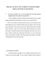 HIỆU QUẢ SỬ DỤNG VỐN CỐ ĐỊNH CỦA DOANH NGHIỆP TRONG NỀN KINH TẾ THỊ TRƯỜNG