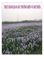 Sinh học 9. Thực hành quan sát Đột biến & Thường biến.