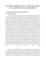 GIẢI PHÁP MỞ RỘNG CHO VAY THEO DỰ ÁN ĐẦU TƯ TẠI NHNNPTNT CHI NHÁNH THỦ ĐÔ