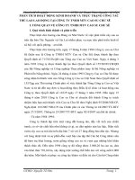 PHÂN TÍCH HOẠT ĐỘNG KINH DOANH VÀ THỰC TRẠNG CÔNG TÁC THÙ LAO LAO ĐỘNG TẠI CÔNG TY TNHH MTV CAO SU CHƯ SÊ