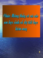 Bài. Thực hiện trật tự an toàn giao thông (tt)