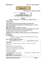 Giao an lop 2- Tuan 21. Tuyet voi lam ban