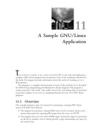 Advanced Linux Programming: 11-A Sample GNU/Linux Application
