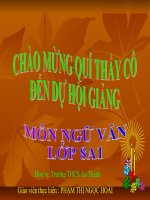 dấu ngoặc đơn và dấu hai chấm