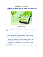 10 điều về cuộc sống