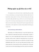 Phòng ngừa sự già hóa của cơ thể