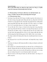 Một số giải pháp nâng cao năng lực cạnh tranh của Công ty cổ phần Long Sơn trong quá trình hội nhập kinh tế thế giới