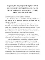 THỰC TRẠNG HOẠT ĐỘNG TÍN DỤNG ĐỐI VỚI DOANH NGHIỆP NGOÀI QUỐC DOANH TẠI CHI NHÁNH NGÂN HÀNG NÔNG NGHIỆP VÀ PHÁT TRIỂN NÔNG THÔN MỸ HÀO