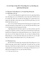 Cơ sở lý luận và thực tiễn về hoạt động cho vay tiêu dùng của ngân hàng thương mại