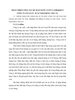 HOÀN THIỆN CÔNG TÁC KẾ TOÁN KTTP  TTTP VÀ XĐKQKD Ở CÔNG TY SẢN XUẤT  XUẤT NHẬP KHẨU VIỆT AN