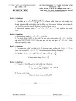 De chon Doi tuyen HSG du thi Cap tinh 92010-2011)