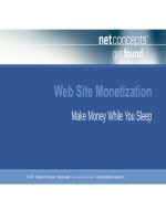 Web Site Monetization - Make Money While You Sleep