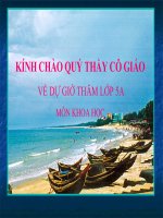 PHÒNG TRÁNH HIV / AIDS