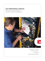 ADC PROFESSIONAL SERVICES Commissioning and Integration Services for Network Deployments