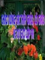 Tiet 19 - bai 17 vung trung du va mien nui bac bo