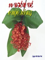 10 ĐIỀU VỀ CUỘC SỐNG