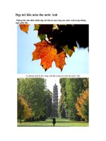 Vẻ đẹp mùa thu ở Anh Quốc