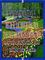 Tiết 20 . Sự xác định đường tròn. Tính chất đối xứng của đường tròn.