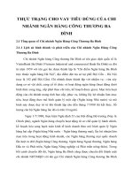 THỰC TRẠNG CHO VAY TIÊU DÙNG CỦA CHI NHÁNH NGÂN HÀNG CÔNG THƯƠNG BA ĐÌNH