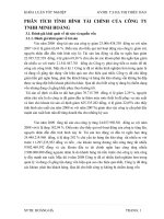 PHÂN TÍCH TÌNH HÌNH TÀI CHÍNH CỦA CÔNG TY TNHH MINH HOÀNG