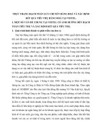 THỰC TRẠNG HẠCH TOÁN LƯU CHUYỂN HÀNG HOÁ VÀ XÁC ĐỊNH KẾT QUẢ TIÊU THỤ HÀNG HOÁ TẠI VIETEL