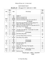 giao an 3 tuan 1 cktkn