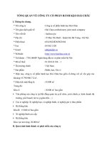 TỔNG QUAN VỀ CÔNG TY CỔ PHẦN BÁNH KẸO HẢI CHÂU