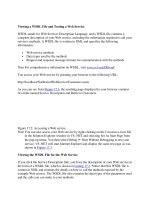 Viewing a WSDL File and Testing a Web Service