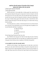 NHỮNG VẤN ĐỀ CHUNG VỀ NGUỒN VỐN VÀ HOẠT                                                     ĐỘNG HUY ĐỘNG VỐN CỦA NHTM