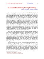 Tổ Sư Môn Phái Võ Đang Trương Tam Phong