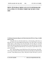 PHÂN TÍCH HOẠT ĐỘNG SẢN XUẤT KINH DOANH CỦA CÔNG TY CỔ PHẦN THIẾT BỊ VỆ SINH NĂM 2010