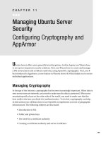 Managing Ubuntu Server Security