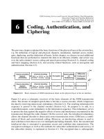 GSM switching services and protocols P6
