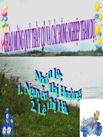 bai 39- bien dong so luong ca the cua quan the-hay