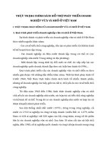 THỰC TRẠNG CHÍNH SÁCH HỖ TRỢ PHÁT TRIỂN DOANH NGHIỆP VỪA VÀ NHỎ Ở VIỆT NAM