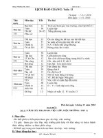 giáo án lớp 3 - tuần 12 (CKTKN) Hot