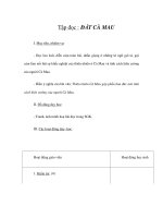 Tập đọc - ĐẤT CÀ MAU