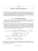 Barriers - Advanced Options