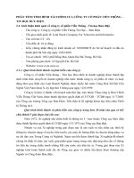 PHÂN TÍCH TÌNH HÌNH TÀI CHÍNH CỦA CÔNG TY CỔ PHẦN VIỄN THÔNG  - TIN HỌC BƯU ĐIỆN