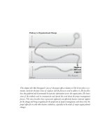 Creating the project office 14