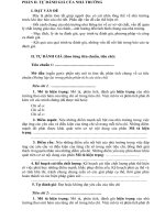 bao cao tự danh gia