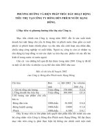 PHƯƠNG HƯỚNG VÀ BIỆN PHÁP THÚC ĐẨY HOẠT ĐỘNG TIÊU THỤ TẠI CÔNG TY BÓNG ĐÈN PHÍCH NƯỚC RẠNG ĐÔNG