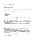 SQL Pro Tutorial phần 5