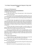 Cơ sở lí luận về công nghệ Marketing bán lẻ hàng hoá ở Công ty kinh doanh