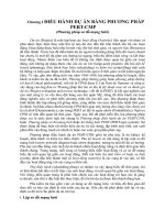 Chương I ĐIỀU HÀNH DỰ ÁN BẰNG PHƯƠNG PHÁP