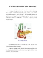 Vì sao tăng triglyceride máu lại dẫn đến viêm tụy?