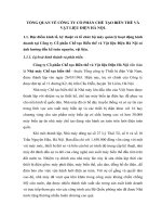 TỔNG QUAN VỀ CÔNG TY CỔ PHẦN CHẾ TẠO BIẾN THẾ VÀ VẬT LIỆU ĐIỆN HÀ NỘI