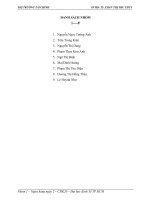 Phân tích thực trạng thị trường cổ phiếu việt nam tại sở giao dịch chứng khoán TPHCM 